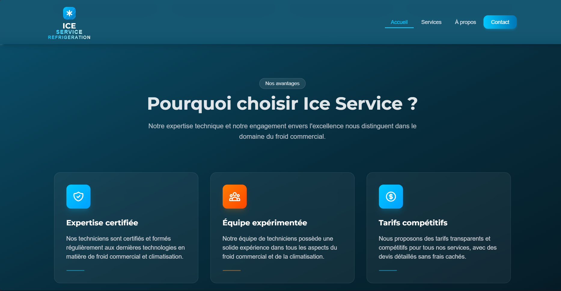 Galerie Ice Service